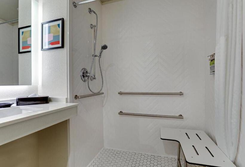 장애인을 위한 킹사이즈 침대 스탠다드 룸, Holiday Inn Mobile Airport, An Ihg