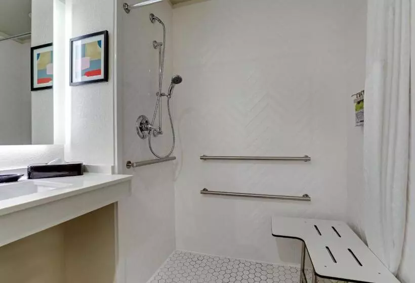 身障者適用キングサイズベッドルーム, Holiday Inn Mobile Airport, An Ihg