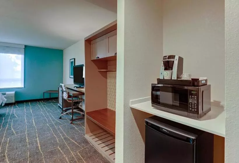 身障者適用キングサイズベッドルーム, Holiday Inn Mobile Airport, An Ihg