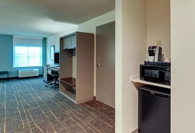 身障者適用キングサイズベッドルーム, Holiday Inn Mobile Airport, An Ihg