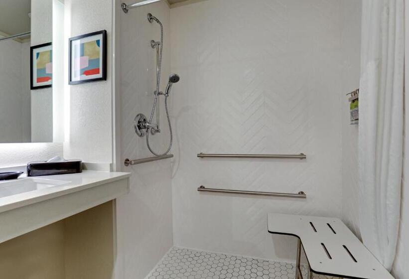 适合残疾人士使用的带超级大床的标准间, Holiday Inn Mobile Airport, An Ihg