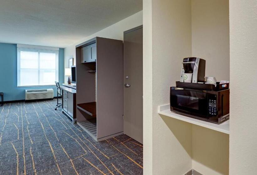 장애인을 위한 킹사이즈 침대 스탠다드 룸, Holiday Inn Mobile Airport, An Ihg
