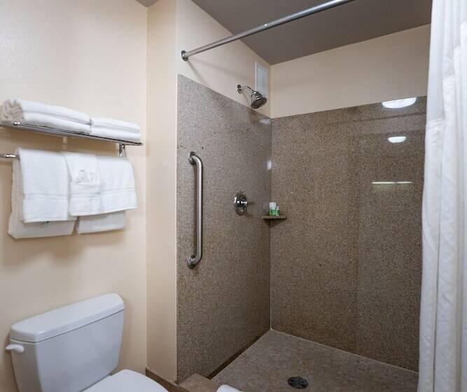 غرفة قياسية, Holiday Inn Oceanside Marina Camp Pendleton, An Ihg