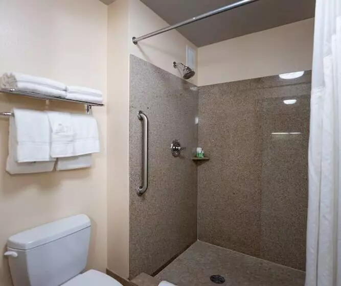 اتاق استاندارد, Holiday Inn Oceanside Marina Camp Pendleton, An Ihg