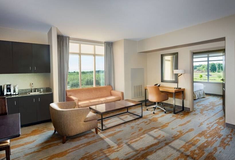 适合残疾人士使用的套间, Holiday Inn San Antonio Northwest  Seaworld Area, An Ihg