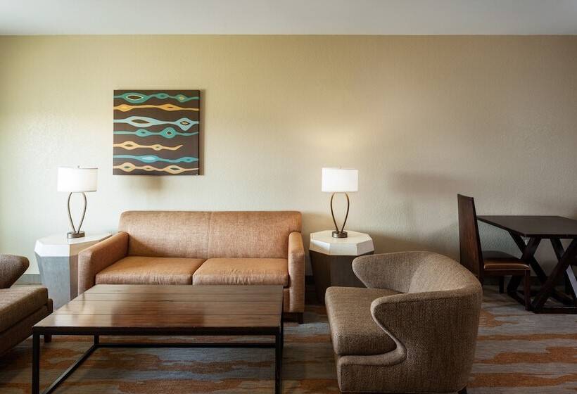 سوئیت برای معلولان, Holiday Inn San Antonio Northwest Seaworld Area, An Ihg