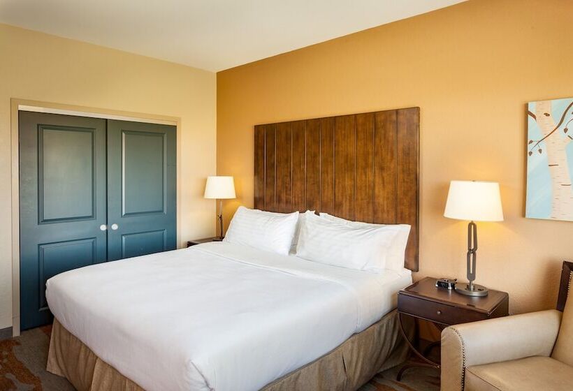 سوئیت برای معلولان, Holiday Inn San Antonio Northwest Seaworld Area, An Ihg