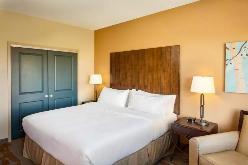 Sviitti King-vuode, Holiday Inn San Antonio Northwest  Seaworld Area, An Ihg