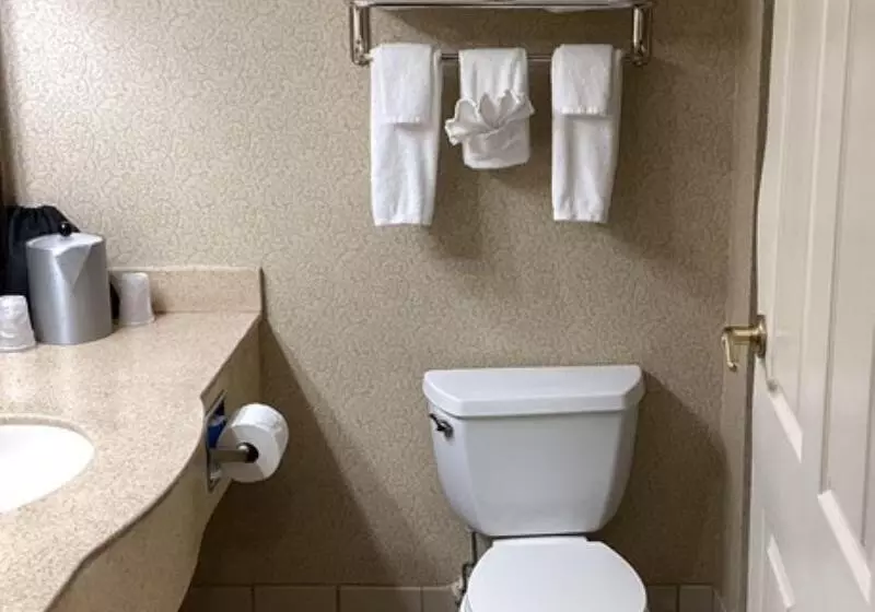 スタンダードルーム, Holiday Inn Vicksburg, An Ihg