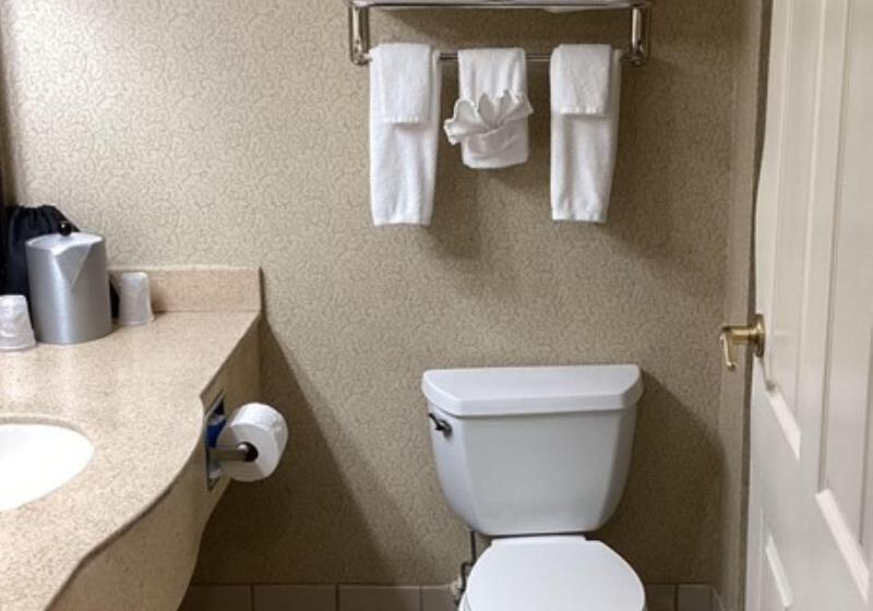 اتاق استاندارد با تخت بزرگ, Holiday Inn Vicksburg, An Ihg