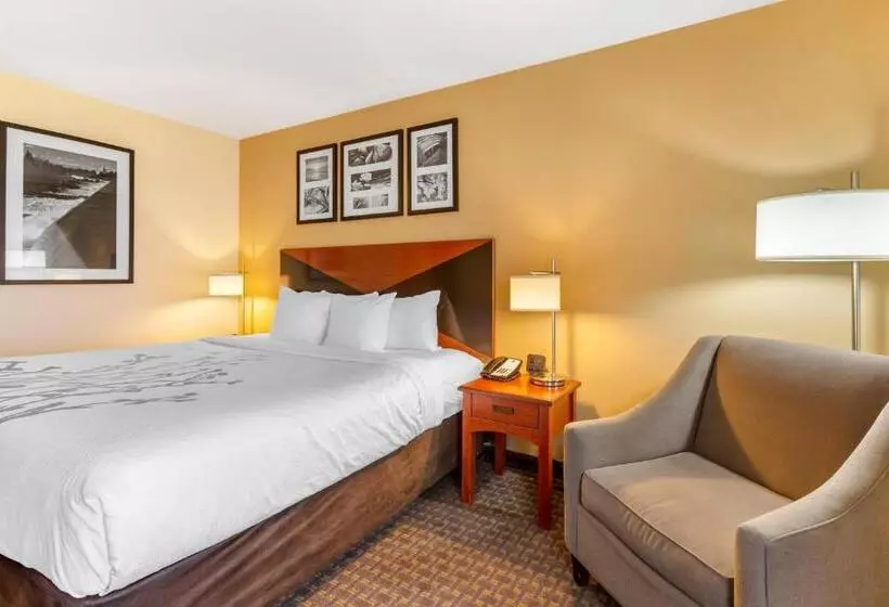 キングサイズベッドのスタンダードルーム, Sleep Inn & Suites Idaho Falls Gateway To Yellowstone