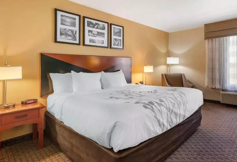 キングサイズベッドのスタンダードルーム, Sleep Inn & Suites Idaho Falls Gateway To Yellowstone