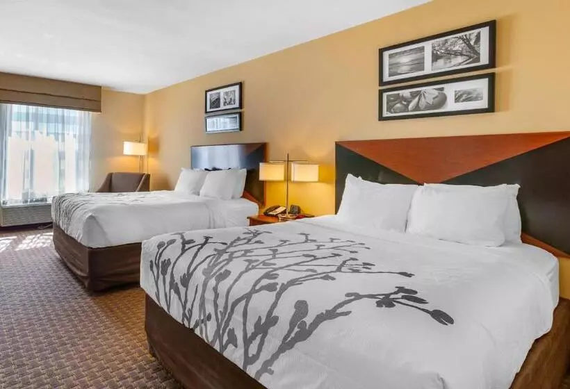 スタンダードルーム, Sleep Inn & Suites Idaho Falls Gateway To Yellowstone