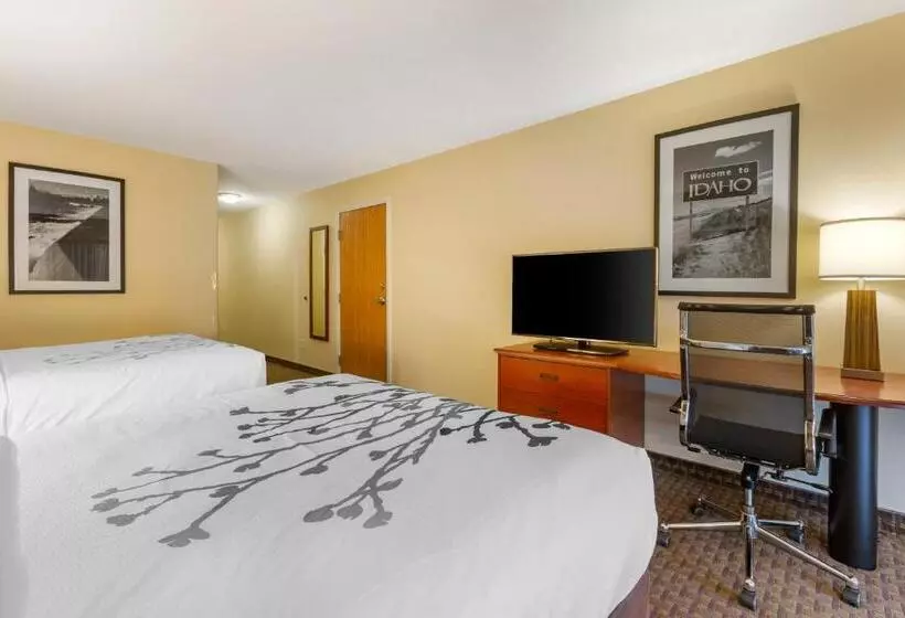 スタンダードルーム, Sleep Inn & Suites Idaho Falls Gateway To Yellowstone