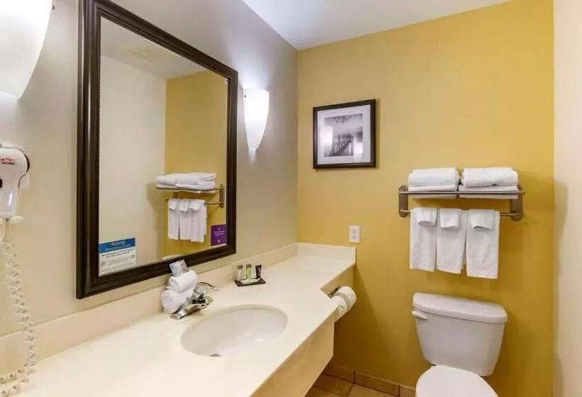 キングサイズベッドのスイートルーム, Sleep Inn & Suites Idaho Falls Gateway To Yellowstone
