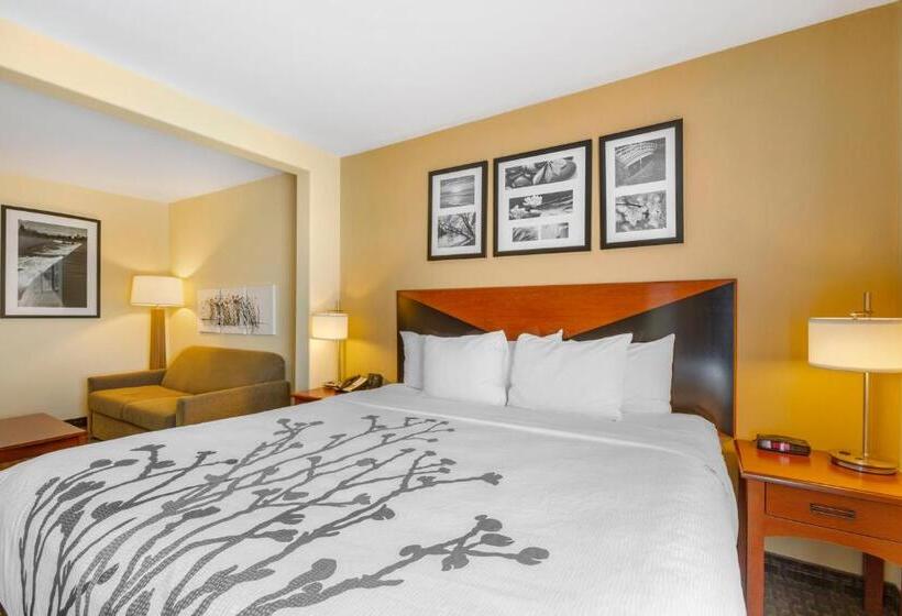 스위트 킹사이즈 침대, Sleep Inn & Suites Idaho Falls Gateway To Yellowstone