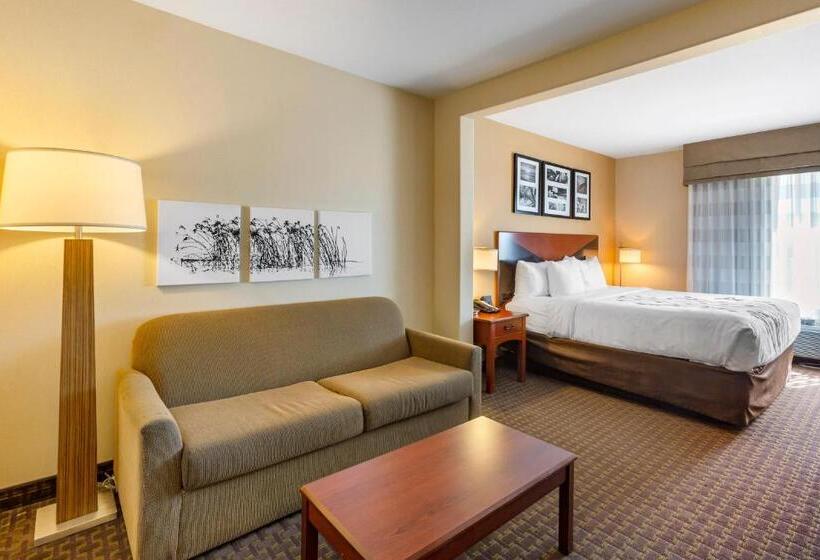 جناح سرير كينج, Sleep Inn & Suites Idaho Falls Gateway To Yellowstone