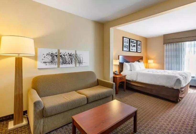身障者適用キングサイズベッドルーム, Sleep Inn & Suites Idaho Falls Gateway To Yellowstone