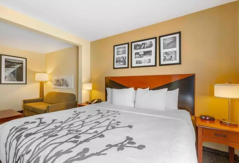 身障者適用キングサイズベッドルーム, Sleep Inn & Suites Idaho Falls Gateway To Yellowstone