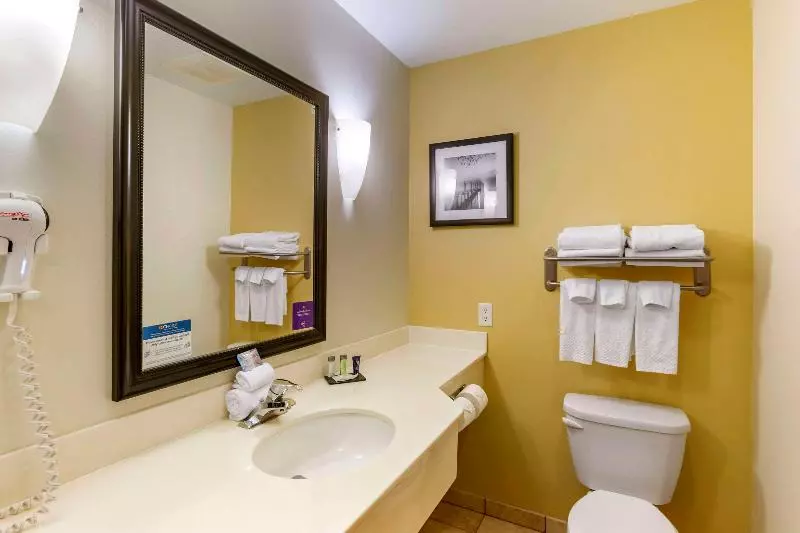 キングサイズベッドのスイートルーム, Sleep Inn & Suites Idaho Falls Gateway To Yellowstone