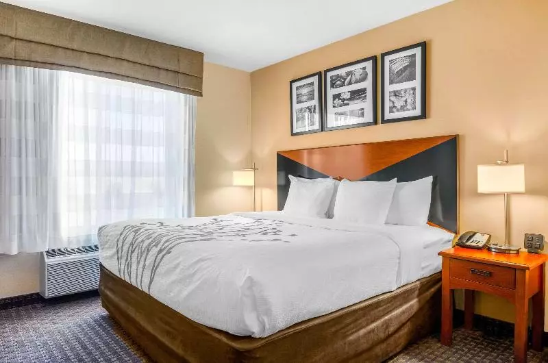 キングサイズベッドのスイートルーム, Sleep Inn & Suites Idaho Falls Gateway To Yellowstone
