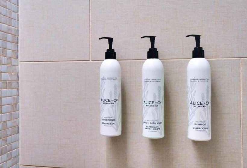 חדר סטודיו סטנדרד, Springhill Suites By Marriott Las Vegas Convention Center