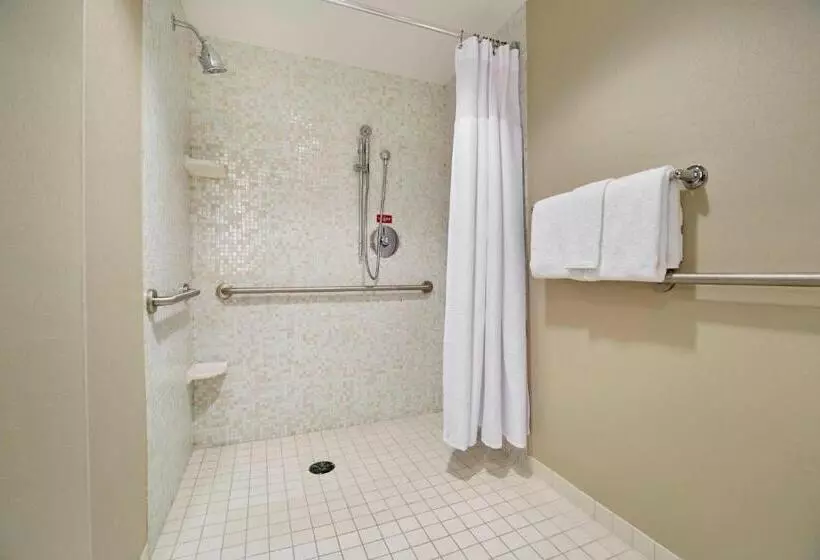 デラックススタジオ, Springhill Suites By Marriott Las Vegas Convention Center