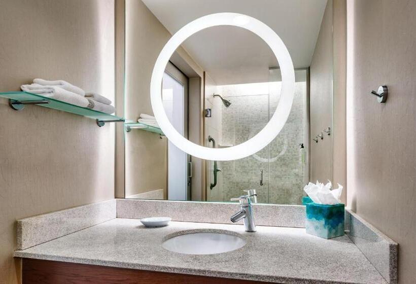 סטודיו דלוקס, Springhill Suites By Marriott Las Vegas Convention Center