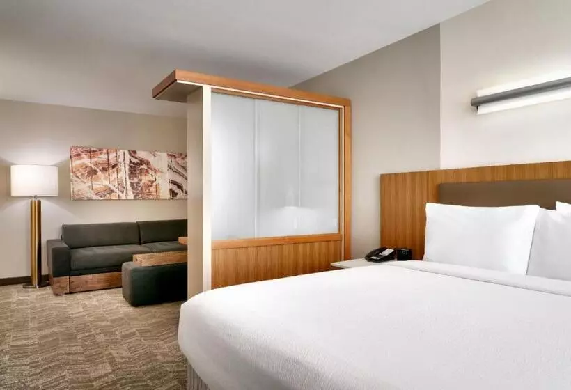 キングサイドベッドのスタンダードワンルーム, Springhill Suites By Marriott Las Vegas Convention Center
