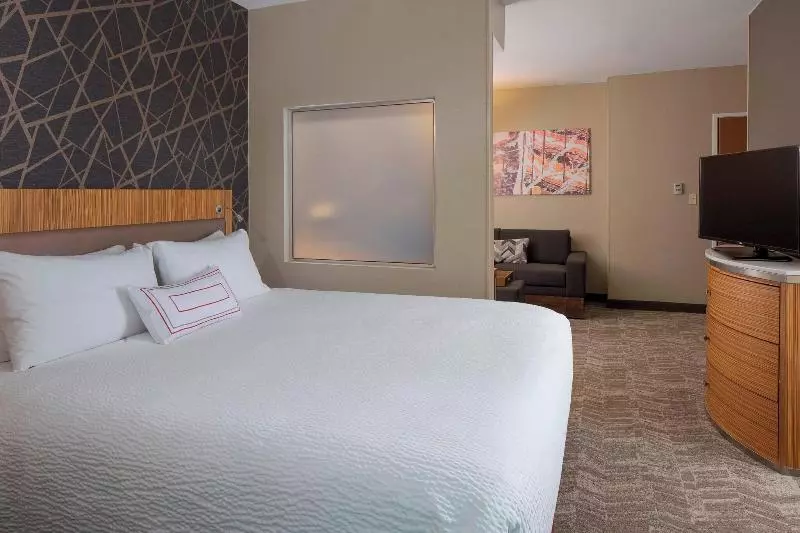 キングサイドベッドのスタンダードワンルーム, Springhill Suites St. Louis Airport/earth City
