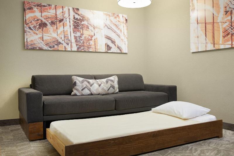 إستوديو قياسى سرير كينج, Springhill Suites St. Louis Airport/earth City