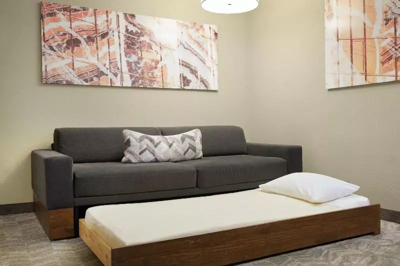 キングサイドベッドのスタンダードワンルーム, Springhill Suites St. Louis Airport/earth City