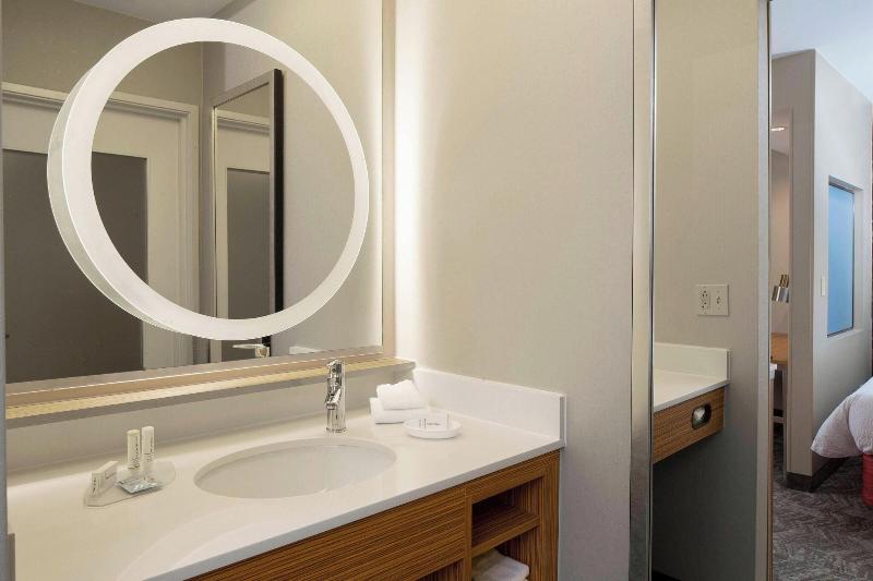 إستوديو قياسى سرير كينج, Springhill Suites St. Louis Airport/earth City