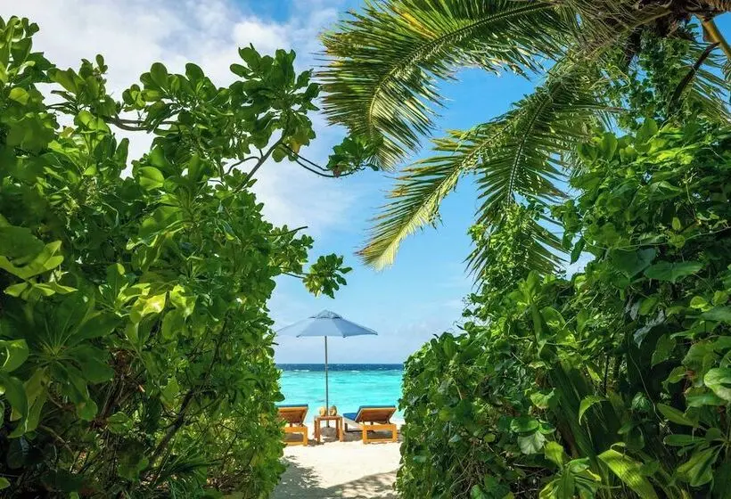 ビラホテル１ベッドルーム, The Halcyon Private Isles Maldives, Autograph Collection