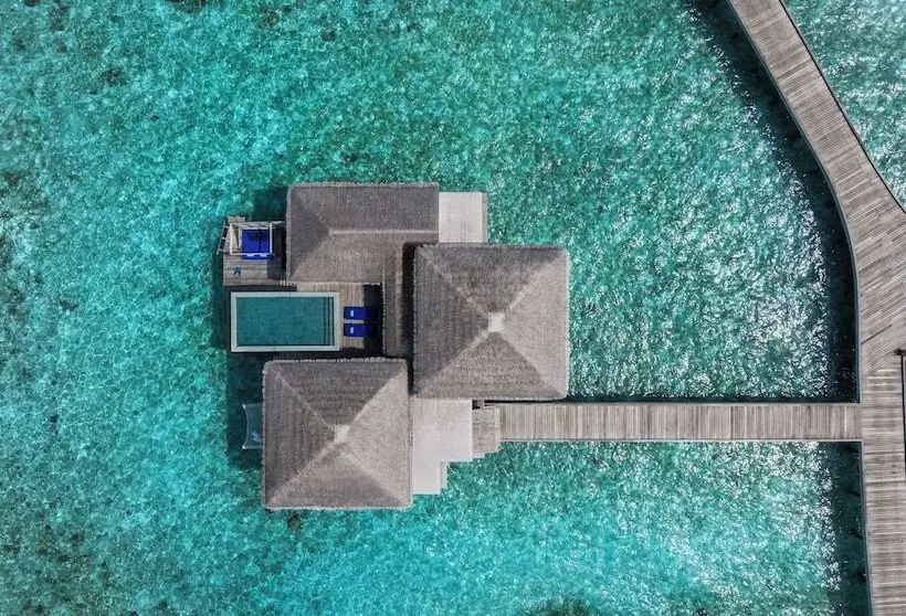 オーシャンビューの１ベッドルームビラ, The Halcyon Private Isles Maldives, Autograph Collection