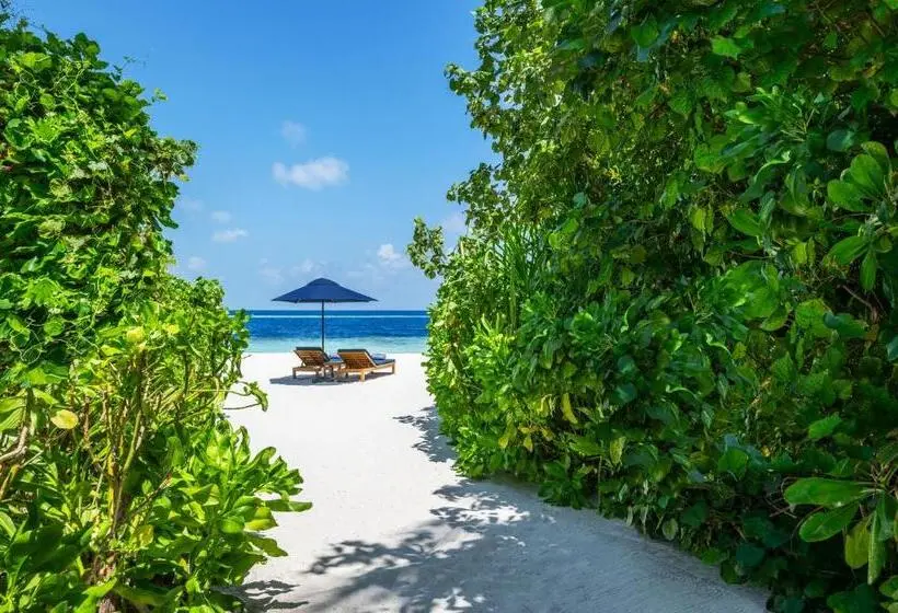 オーシャンビュー２ベッドルームヴィラ, The Halcyon Private Isles Maldives, Autograph Collection