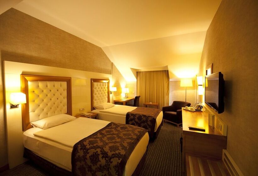 标准间, Tugcu Hotel Select