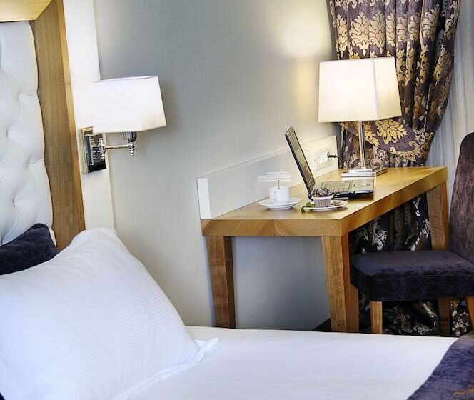 اتاق استاندارد یک نفره, Tugcu Hotel Select