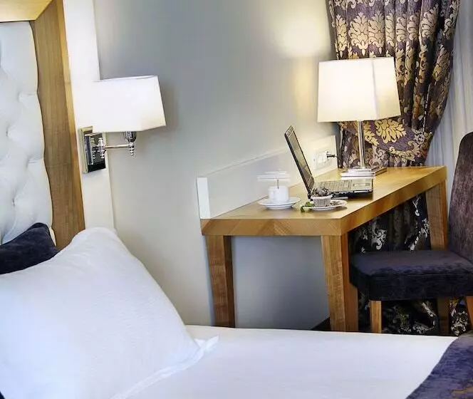 اتاق استاندارد یک نفره, Tugcu Hotel Select