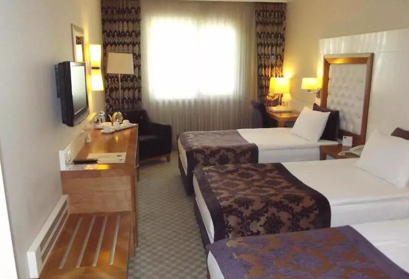 اتاق استاندارد سه نفره, Tugcu Hotel Select