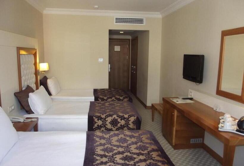 اتاق استاندارد سه نفره, Tugcu Hotel Select