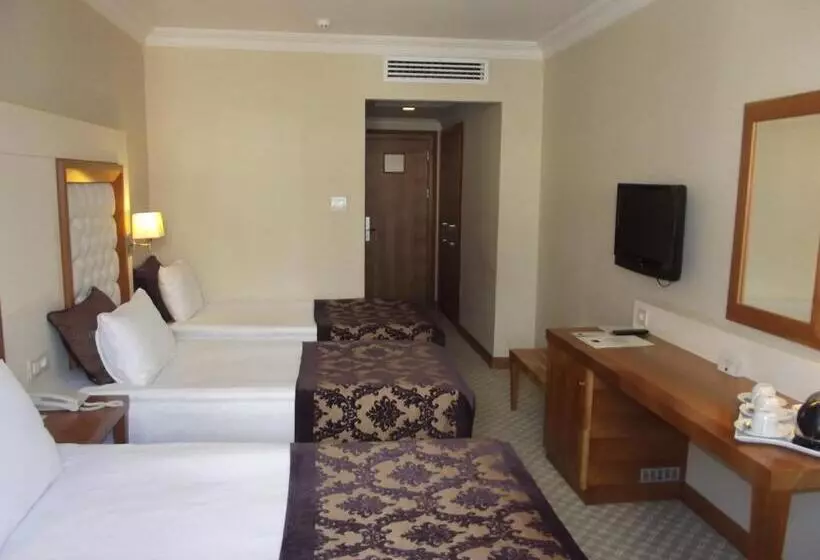 اتاق استاندارد سه نفره, Tugcu Hotel Select