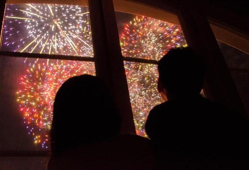 اتاق لوکس با چشمانداز, Denhaag Huis Ten Bosch