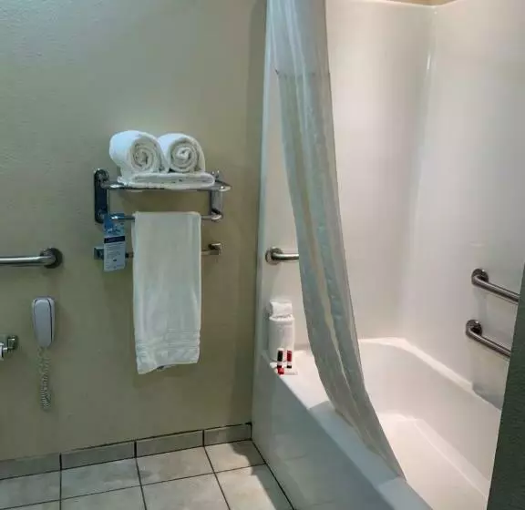 身障者適用スタンダードルーム, Microtel Inn & Suites By Wyndham Hattiesburg