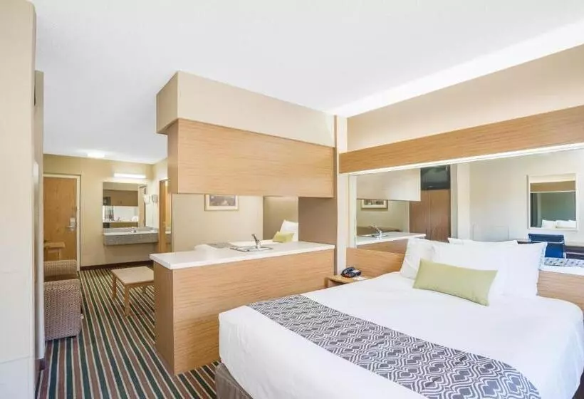 クイーンベッドのスタンダードスタジオ, Microtel Inn & Suites By Wyndham Pigeon Forge