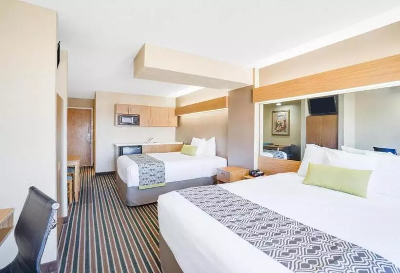 クイーンベッドのスタンダードスタジオ, Microtel Inn & Suites By Wyndham Pigeon Forge