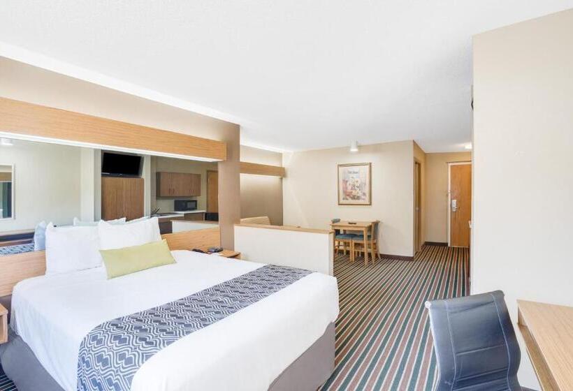 豪华工作室, Microtel Inn & Suites By Wyndham Pigeon Forge
