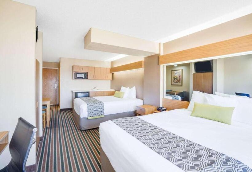 标准工作室, Microtel Inn & Suites By Wyndham Pigeon Forge