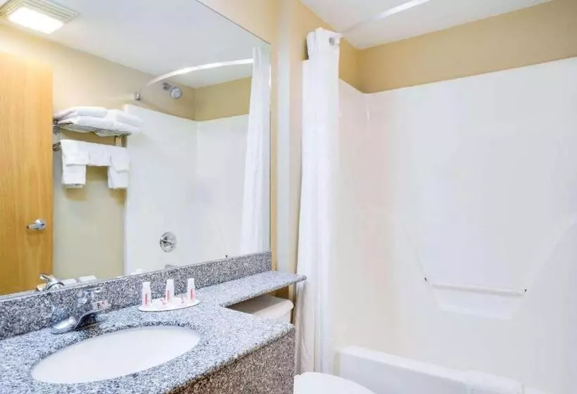 スタンダードスタジオ, Microtel Inn & Suites By Wyndham Pigeon Forge
