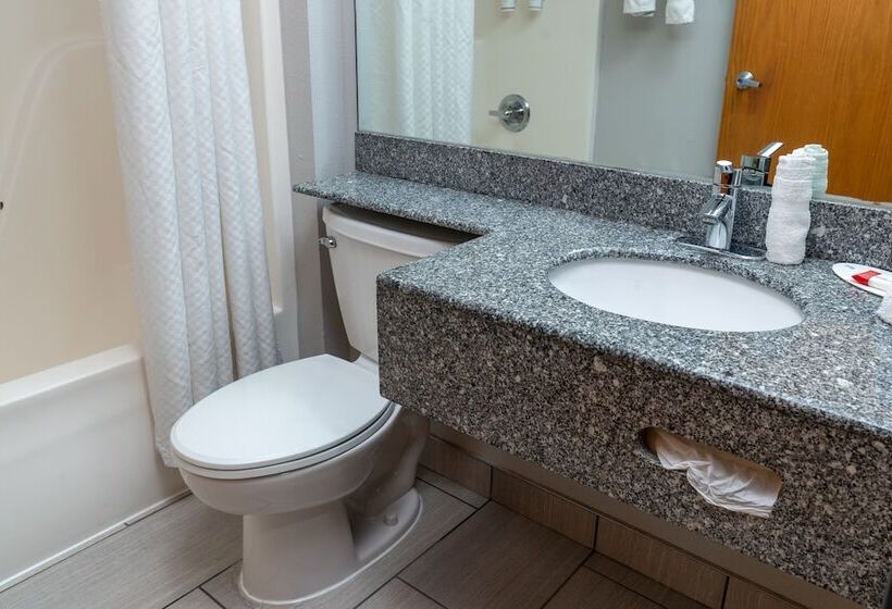 豪华工作室, Microtel Inn & Suites By Wyndham Pigeon Forge